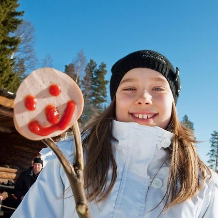 Skelleftea Camping Bagian luar foto