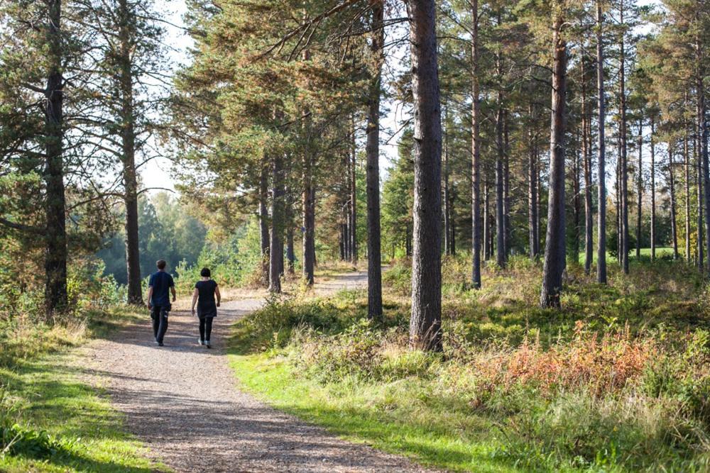 Skelleftea Camping Bagian luar foto