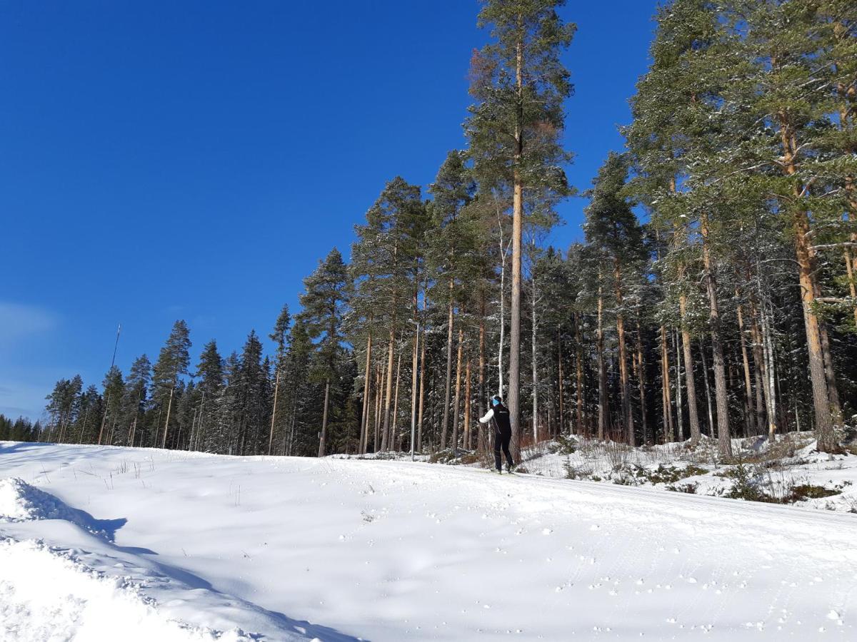 Skelleftea Camping Bagian luar foto